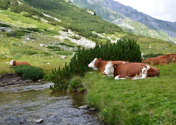 Апартамент Belvedere Club к502