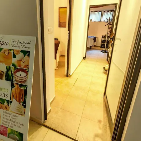 Belvedere Club к502 *