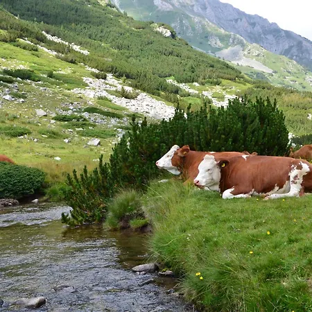 דירה Belvedere Club к502