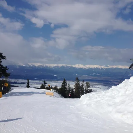 Belvedere Club к502 בנסקו