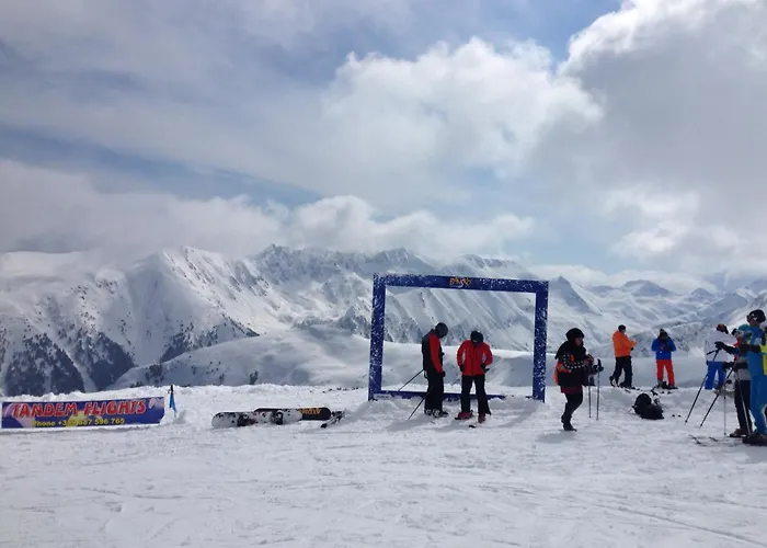 公寓 Belvedere Club к502 班斯科