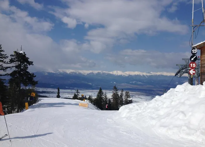 Belvedere Club к502 班斯科